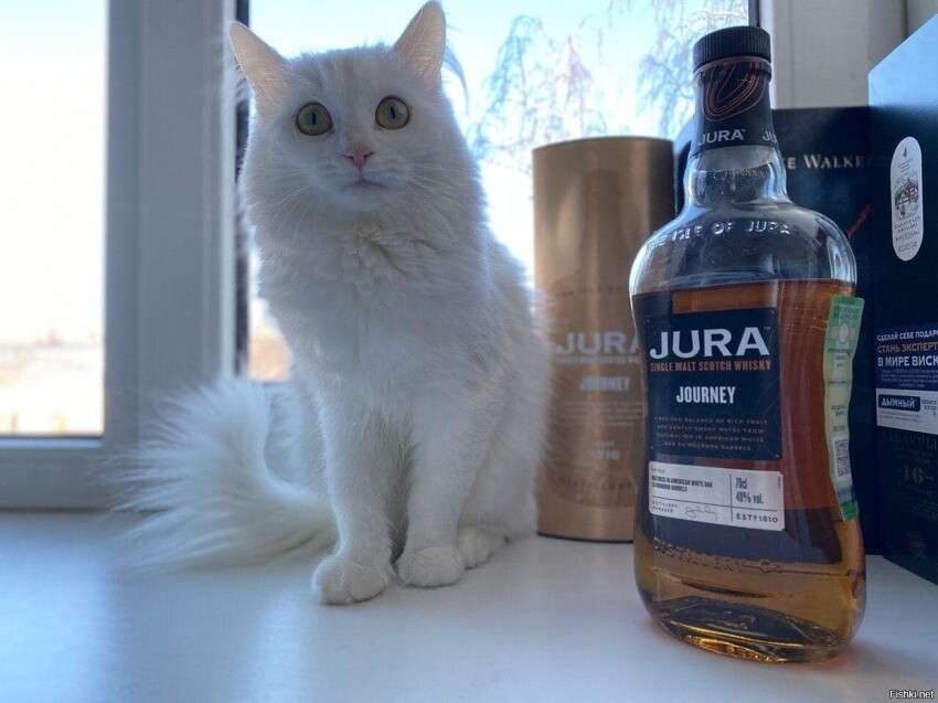 Первый мой рабочий день