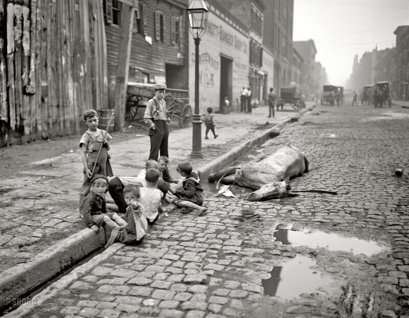 Дети на улице играют возле мертвой лошади, 1905 год, Нью–Йорк