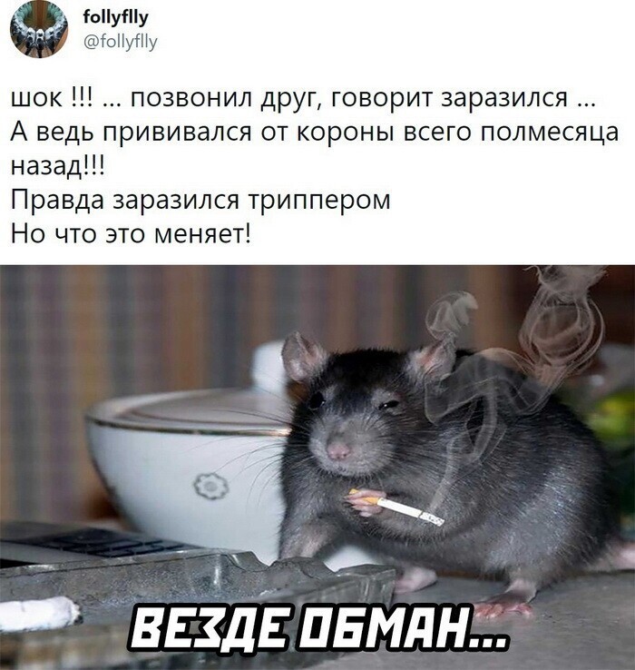 Скрины из соцсетей