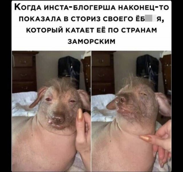 Намешалось