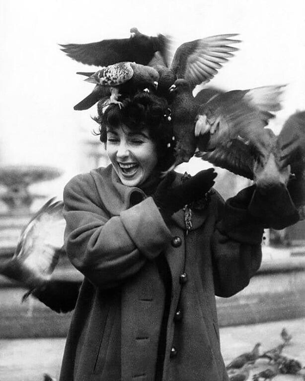Элизабет Тейлор, Лондон, 1948 год