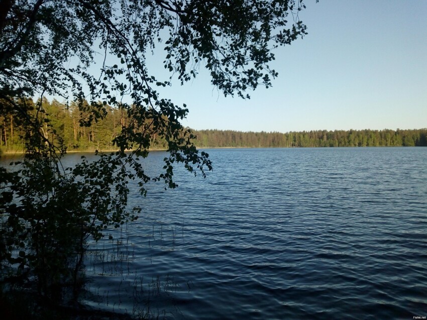 Озеро Блесна