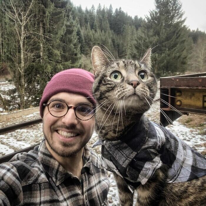 Кошка из Инстаграма живет интереснее любого блогера