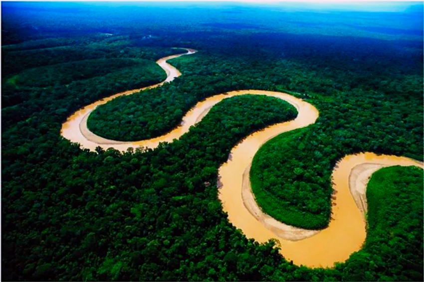 Почему через Амазонку не построили ни одного моста?