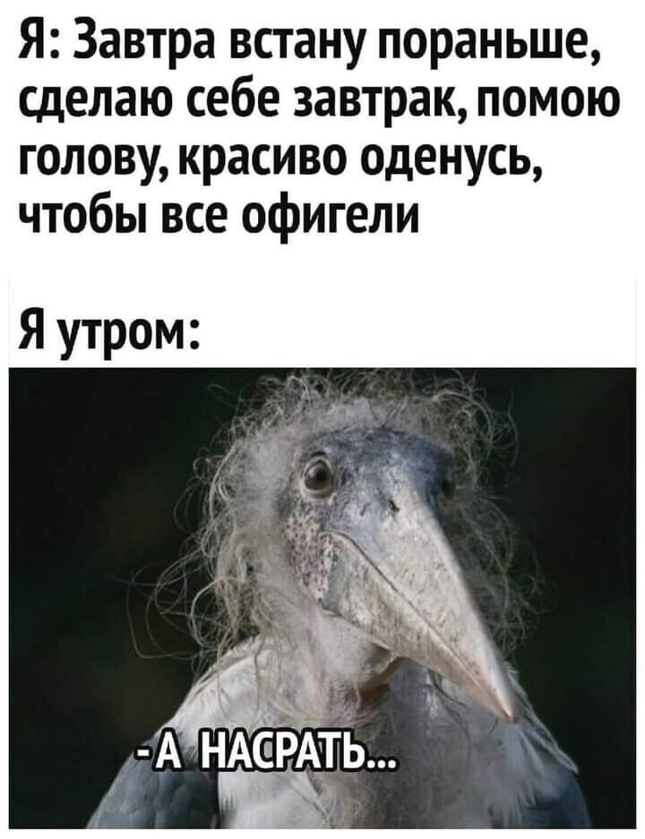 Немного позитива и юмора