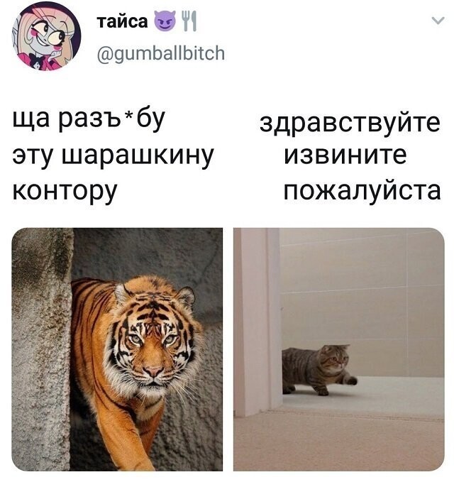 Скрины из соцсетей