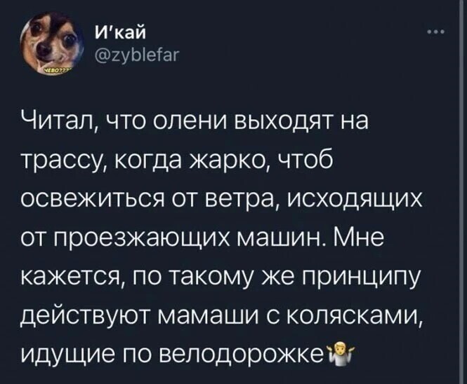 Скрины из соцсетей