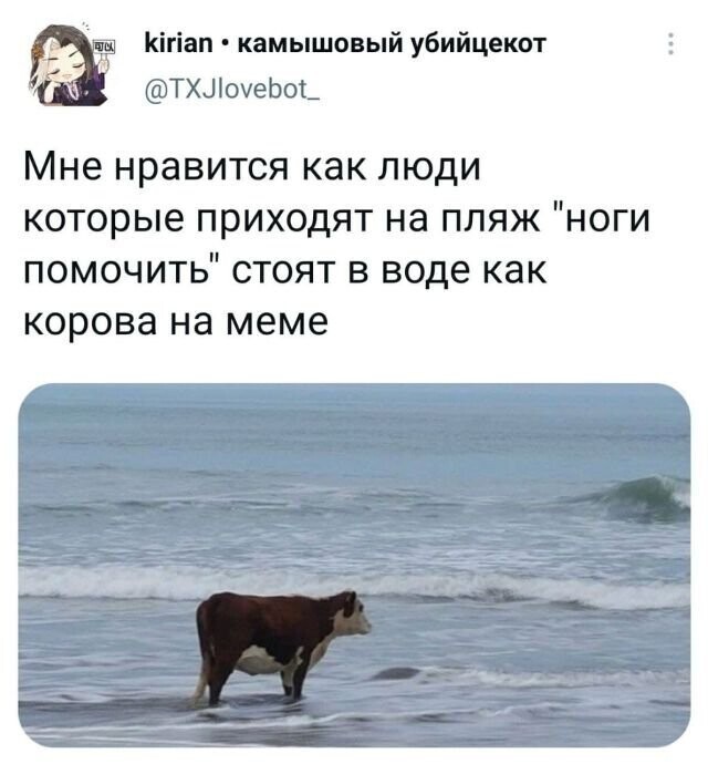 Скрины из соцсетей