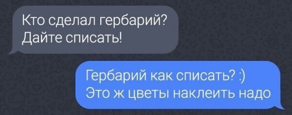 Родительские чаты