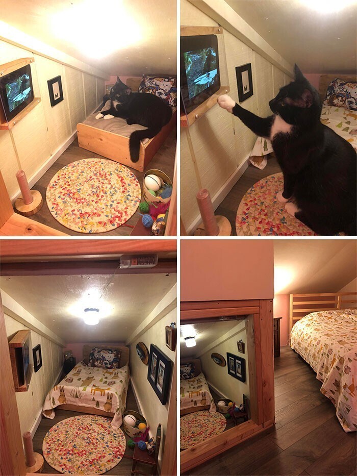 Хозяин смастерил комнатку для кошки под лестницей