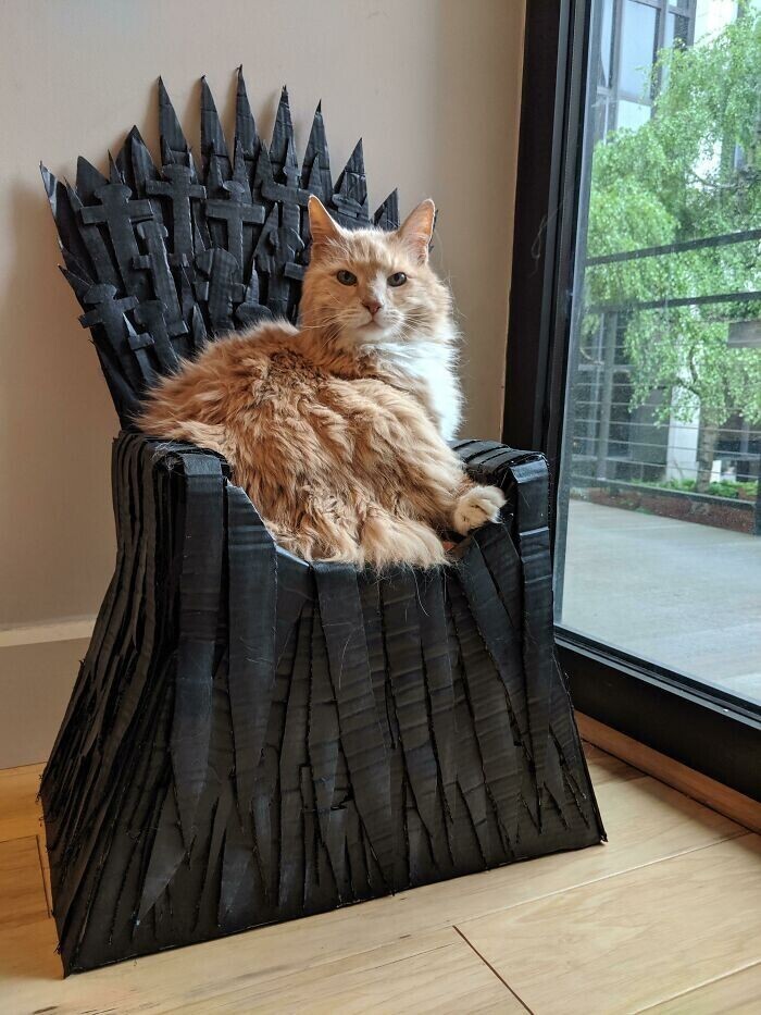 Картонный трон для короля