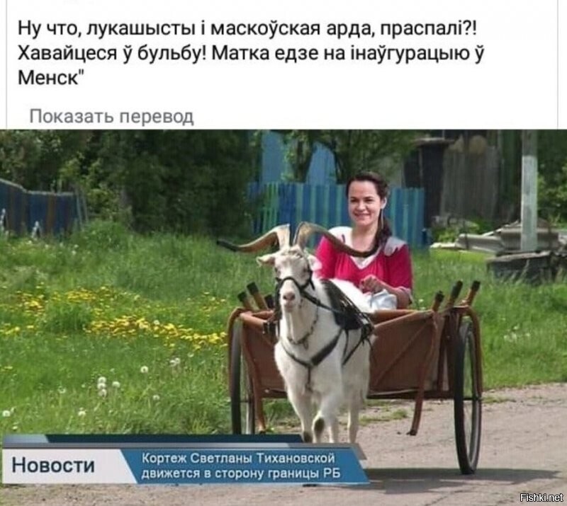 Калейдоскоп новостной полит. сатиры, и другое
