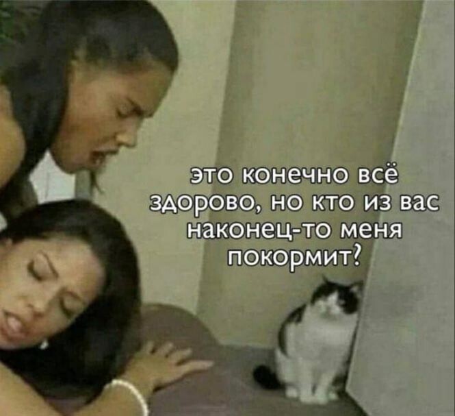 Смешные и познавательные картинки