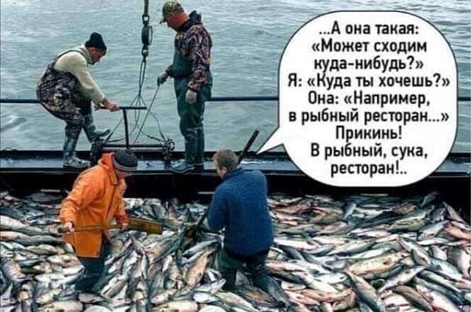 Смешные и познавательные картинки