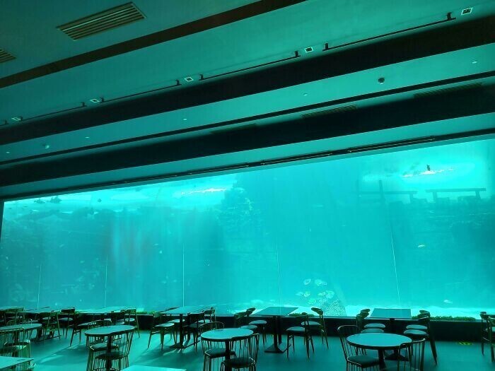 Пустой ресторан-аквариум вызывает чувство тоски