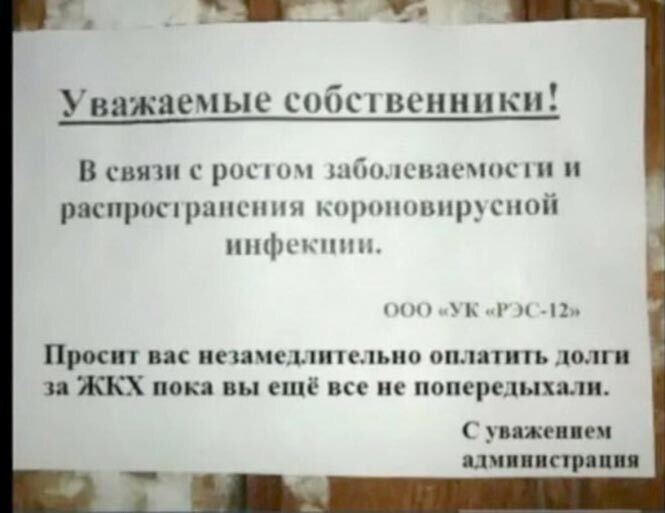 Смешные и познавательные картинки