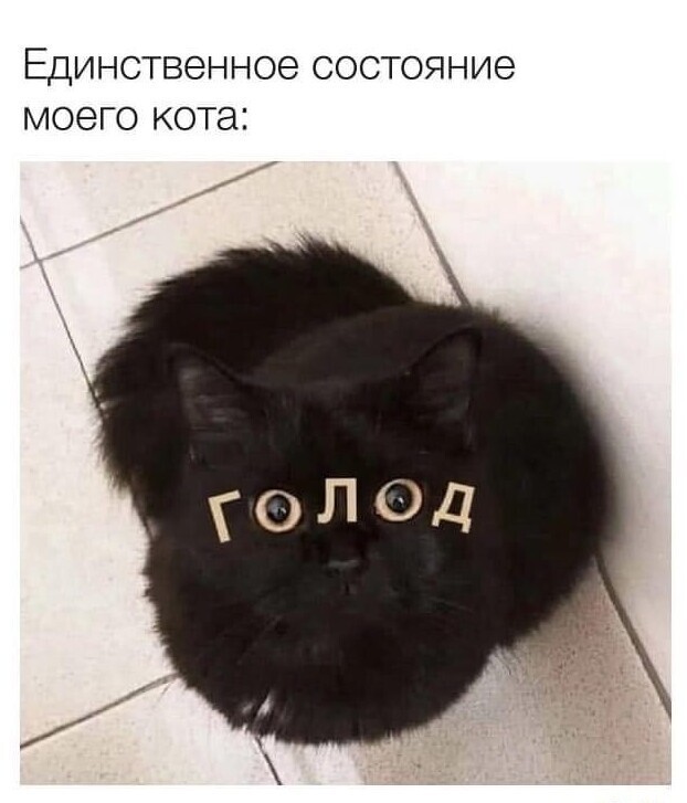 Полит.стёб и другое
