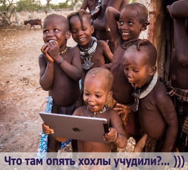 О политике и не только