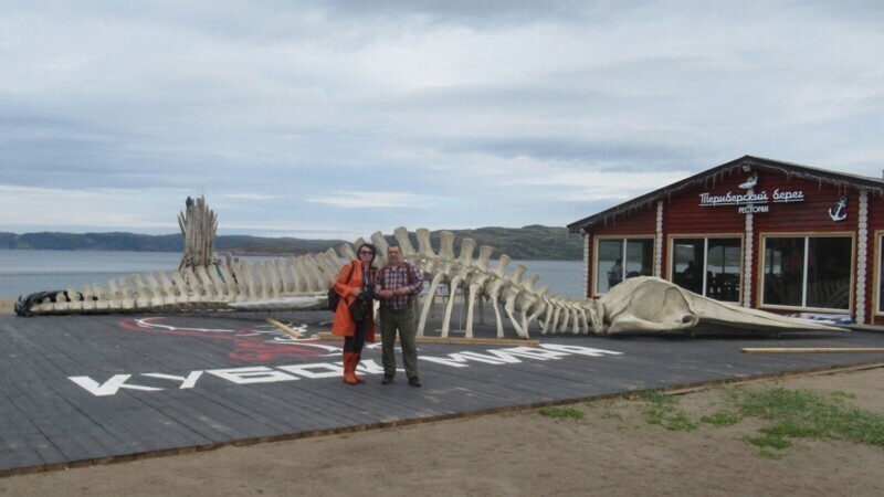 Знаменитый скелет кита из "Левиафана" вернулся в Териберку