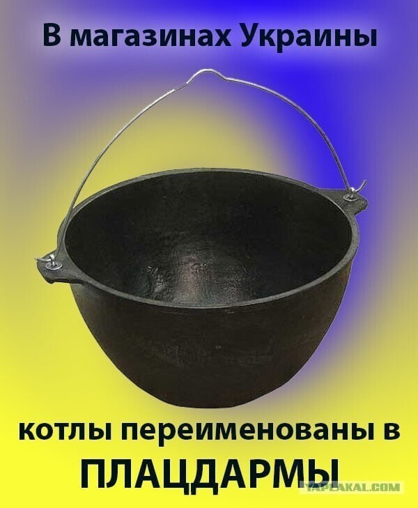 О политике и не только