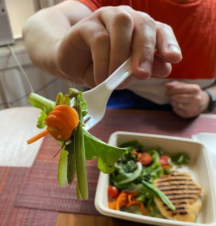 Чтобы случайно не съесть богомола, затесавшегося в салат, нужен внимательный второй взгляд!