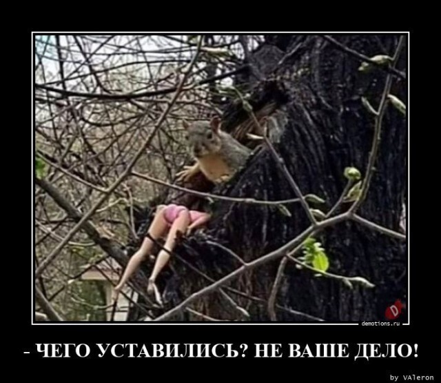 Первоиюльский Калейдоскоп полит.стёба и другого