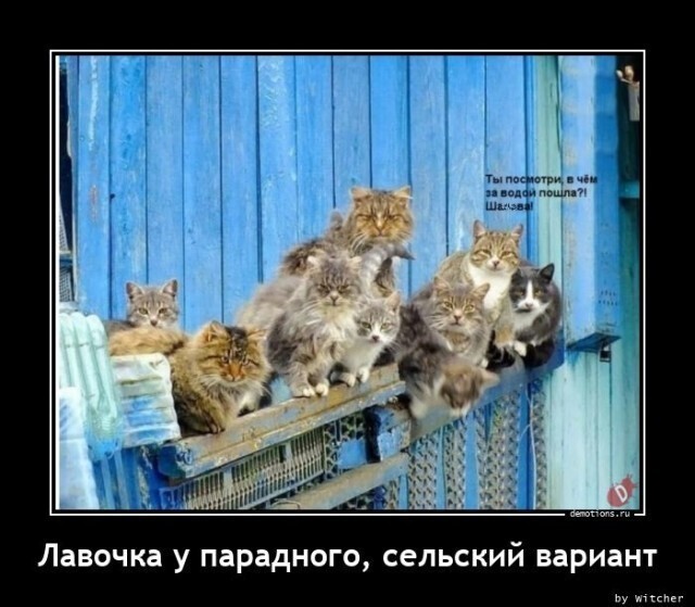 Первоиюльский Калейдоскоп полит.стёба и другого