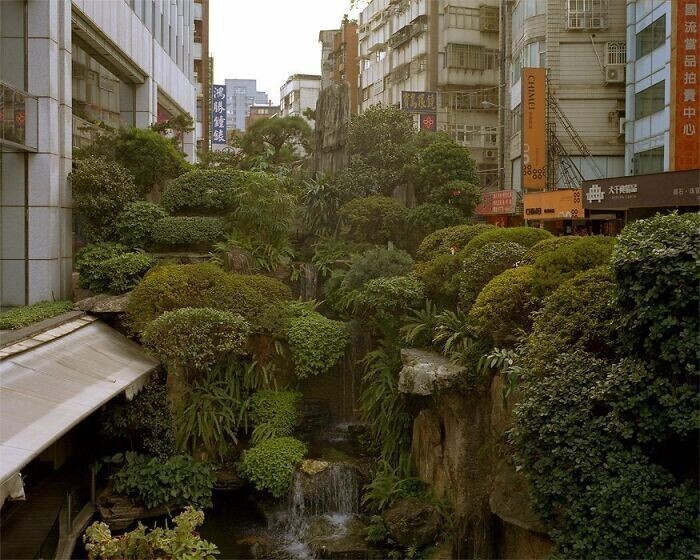 1. Городские джунгли в буквальном смысле, Тайбэй, Тайвань