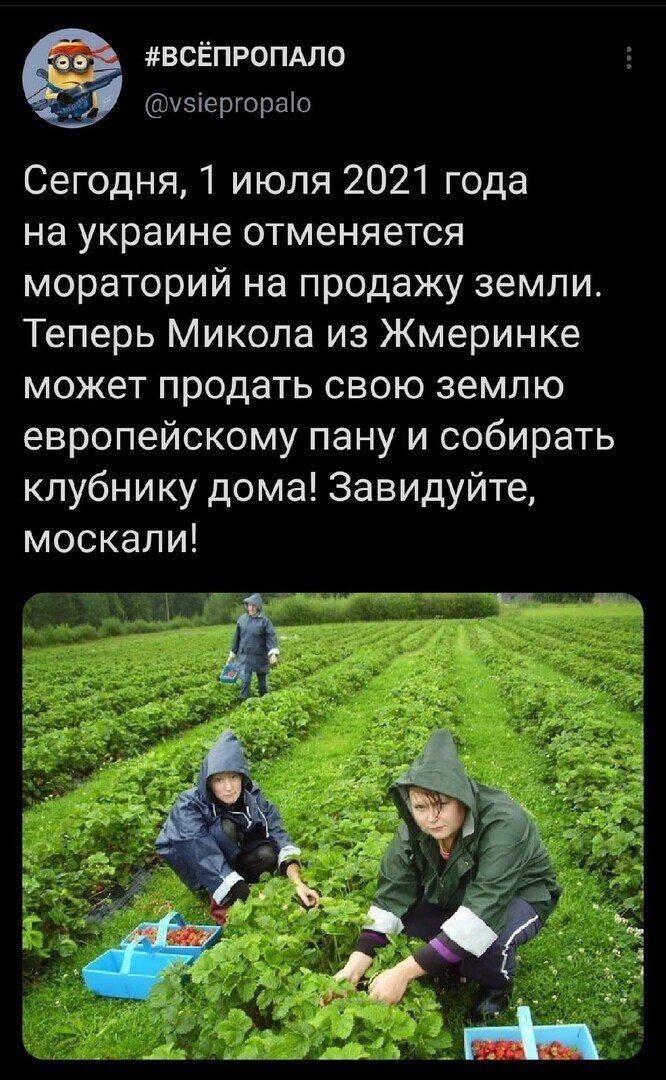 О политике и не только