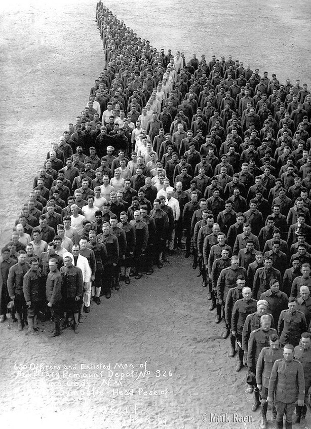 Дань памяти 8 миллионам лошадей, погибшим во время Первой мировой войны