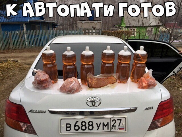 Автовсячина