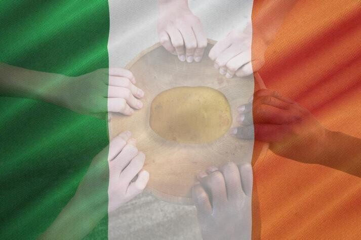 Великий голод в Ирландии как пример сознательного геноцида