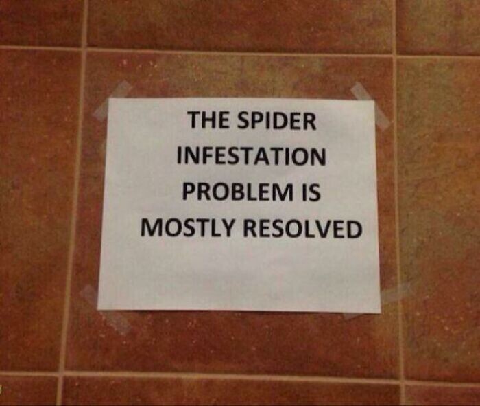 4. "Проблема с пауками по большей части решена"
