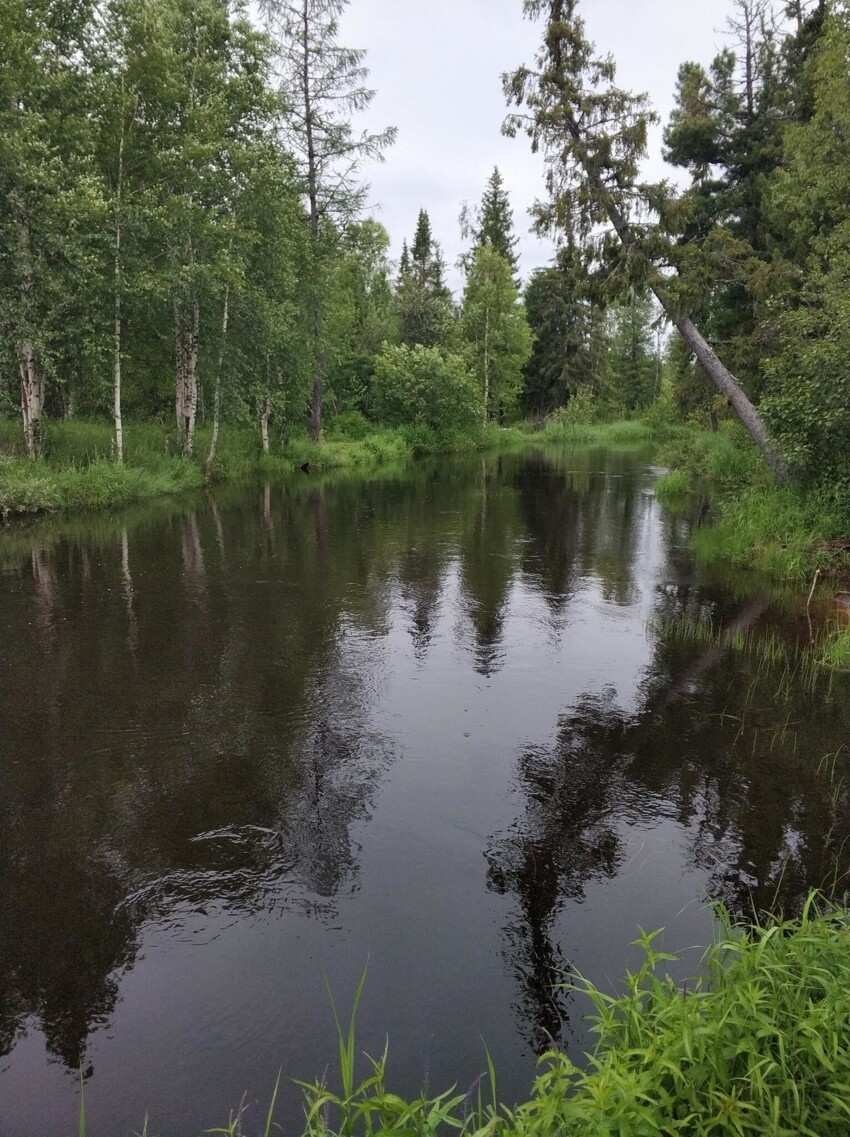 Речка Чукусамаль