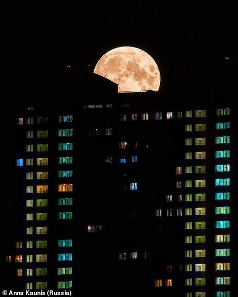 Луна над Москвой, Анна Каунис