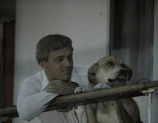Солёный пёс (1973)
