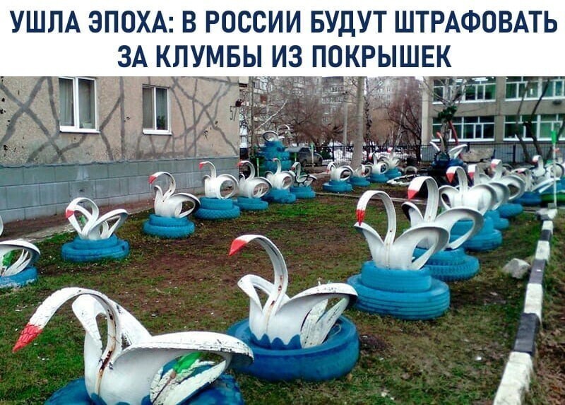 О политике и не только