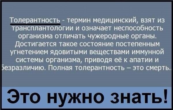 О политике и не только