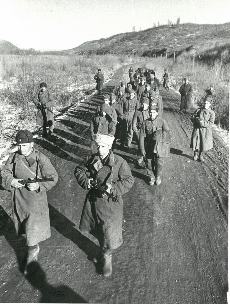 Хроника военных дней в фоторепортажах Виктора Темина