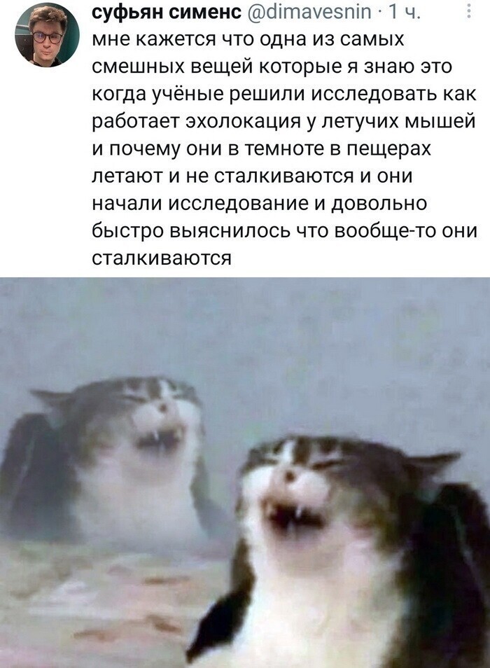 Скрины из соцсетей