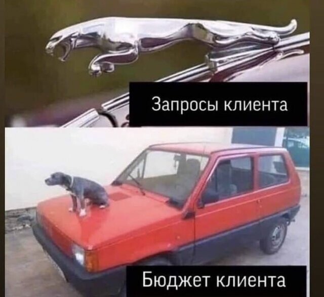 Скрины из соцсетей