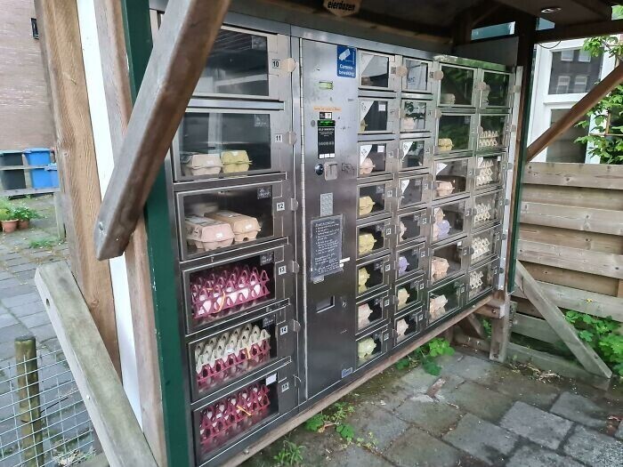 В Голландии есть торговые автоматы для продажи яиц