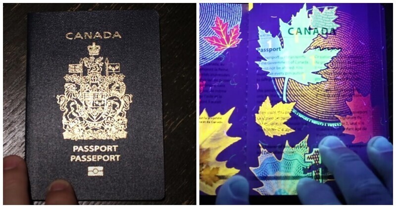 Канадский паспорт в ультрафиолетовом свете