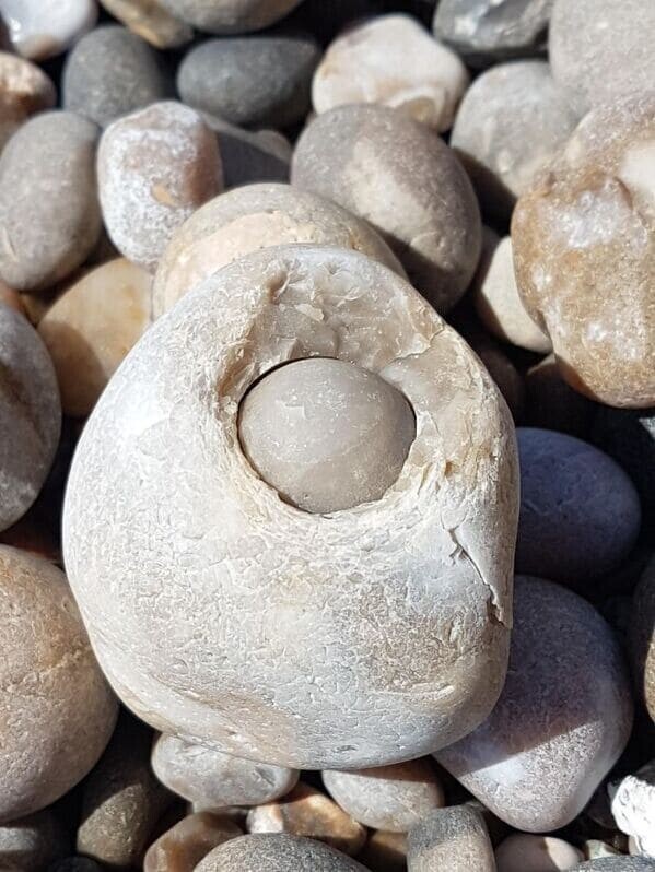 "Обнаружил на пляже камень в камне"