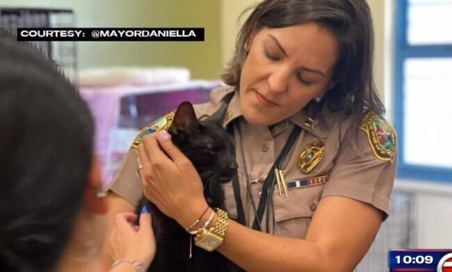 Под завалами рухнувшего дома во Флориде нашли живую кошку