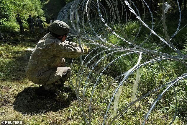 Литва строит забор из колючей проволоки на границе с Беларусью