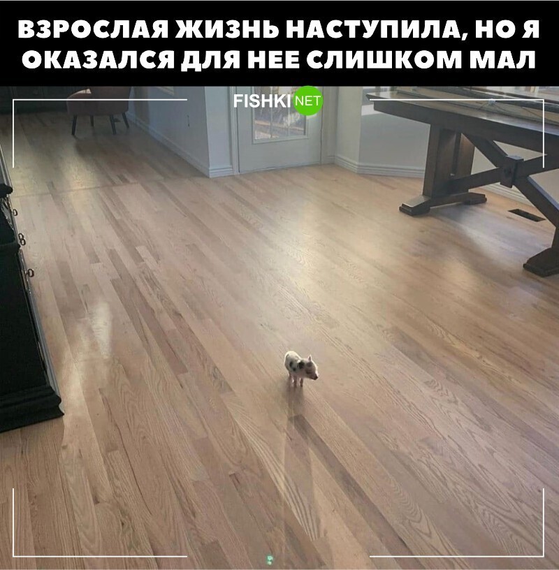 Вместо эпилога