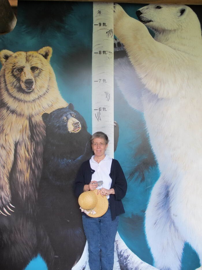 Размер медведей, по сравнению  с человеком
