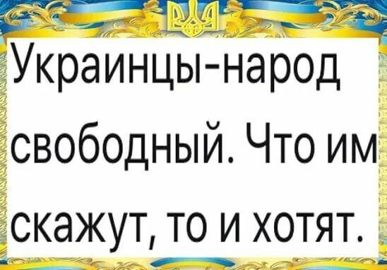 О политике и не только