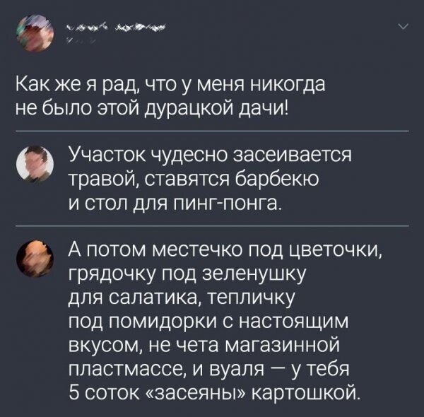 Скрины из соцсетей